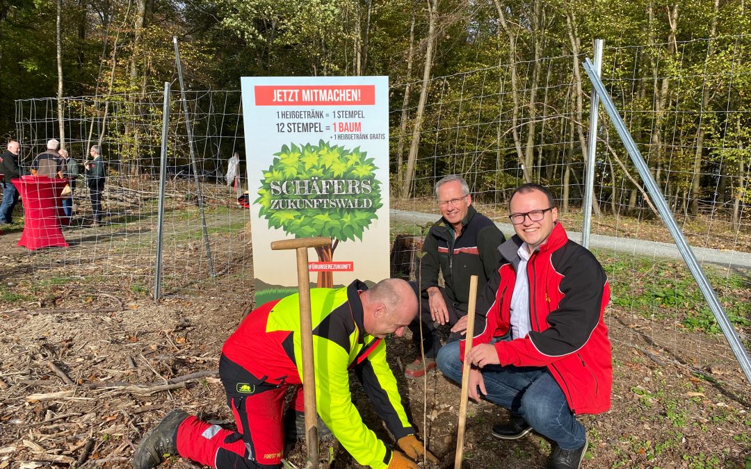 BAUMPFLANZEVENT IN BAD CAMBERG